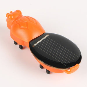 Solar Powered Critters ☀ , S.T.E.M. Smart Toys