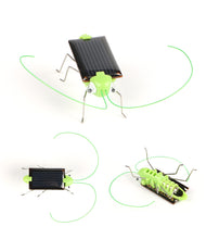 Load image into Gallery viewer, Solar Powered Critters ☀ , S.T.E.M. Smart Toys